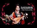 Iron Maiden The Trooper On Chinese Traditional Instruments Nini Music