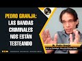 Pedro Granja: Las bandas criminales nos están testeando