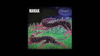 EN LABERINTOS - NICOLAS MANIAK