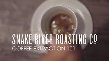 COFFEE EXTRACTION 101- Brew Methods