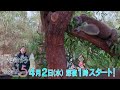 「ソロ活女子のススメ5」60秒トレイラー