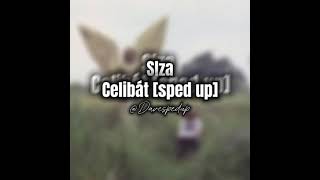 Slza - Celibát [sped up]