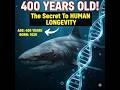 The 400 Year Old SharkWhy the Greenland Shark Never Gets Old