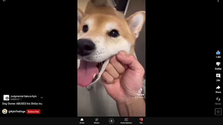 Dog Owner ABUSES his Shiba Inu
