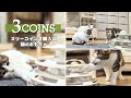 【購入品紹介】3COINSでみつけた 猫のおもちゃ│Cat Ball Toy