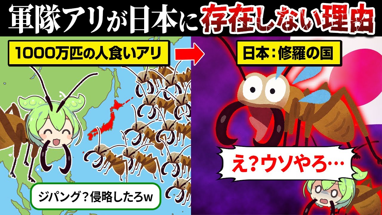 【人食いアリ】なぜ軍隊アリは日本で生息できないのか？【ずんだもん＆ゆっくり解説】