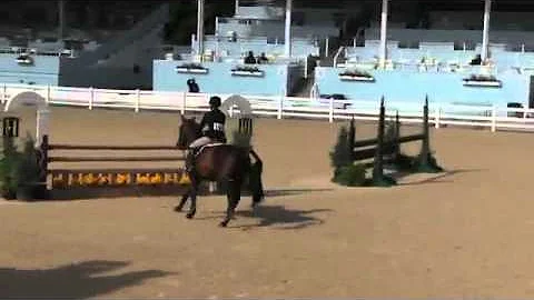 Video of SALT LAKE ridden by RACHAEL BARNES from S...