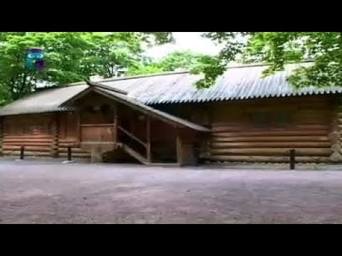 Музей заповедник "Коломенское". Домик Петра I