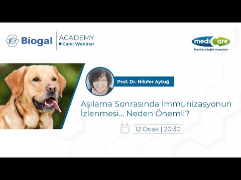 Video: Titre Testi: Köpeğinizin Gerçekten Yeniden Aşınması Gerekiyor mu?