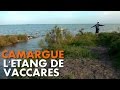 Ref:glXRvwCeZt8 Randonn�e camargue : l'etang de vaccar�s [carnets de rando #10] hd720p