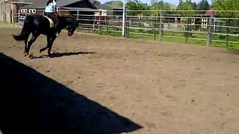 deborah demo galop