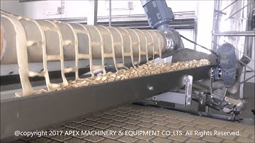 1000mm Cracker Production LineBiscuit /wafer/cookie/sandwiching Production Line -APEX MACHINERY