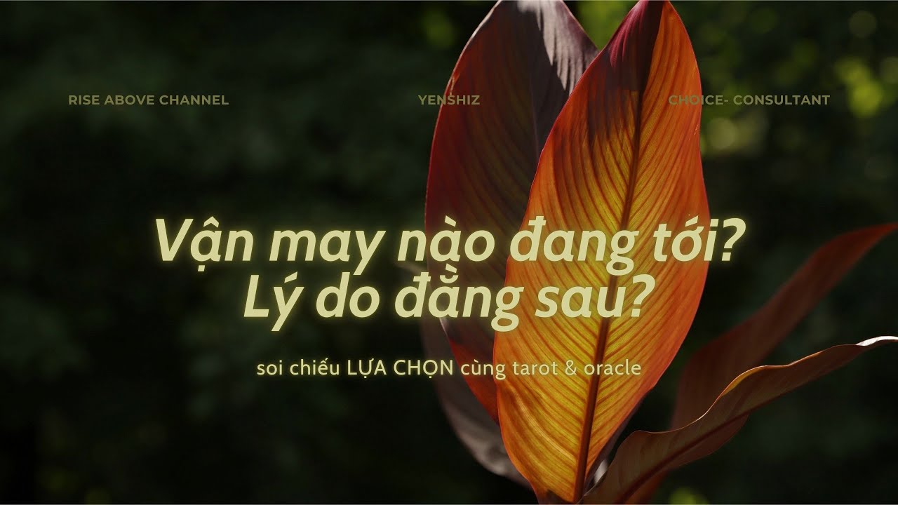 ⭐TAROT @RiseAbovewithYen ⭐ VẬN MAY ĐANG TỚI HAY KHÔNG? LÝ DO ĐẰNG SAU? #timeless