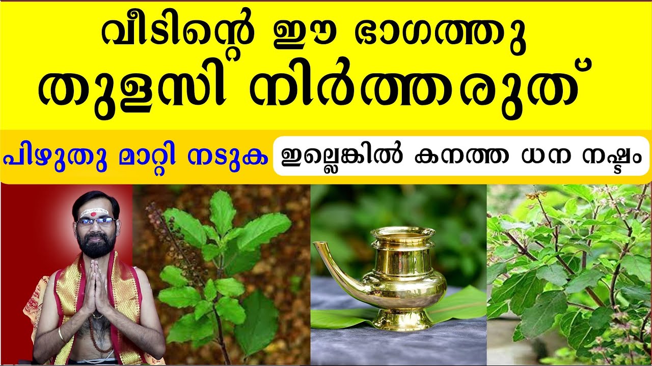 വീടിന്റെ ഈ ഭാഗത്തു തുളസി നിർത്തരുത് പിഴുതു മാറ്റി നടുക ഇല്ലെങ്കിൽ കനത്ത ധന നഷ്ടം