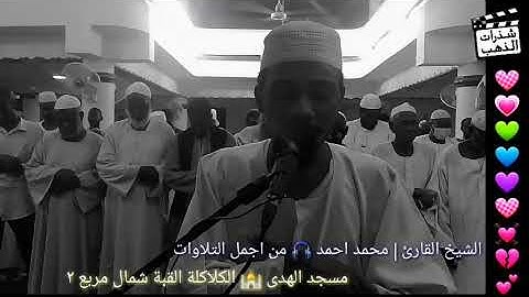 من اجمل التلاوات 🎧 القارئ محمد احمد🎙 | مسجد الهدى الكلاكلة
