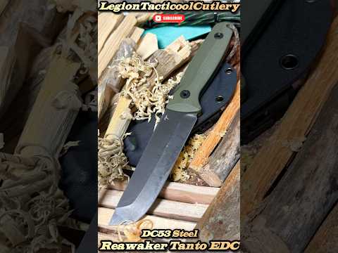 Reawaker Tanto in DC53 Steel