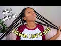 How I Grew My Tailbone Length Hair