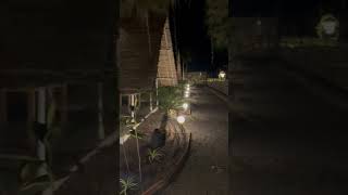 Beach Cottages | Virar #mumbai #wedding #shortfeed #vasaivirar #beach #couple #youtubeshorts
