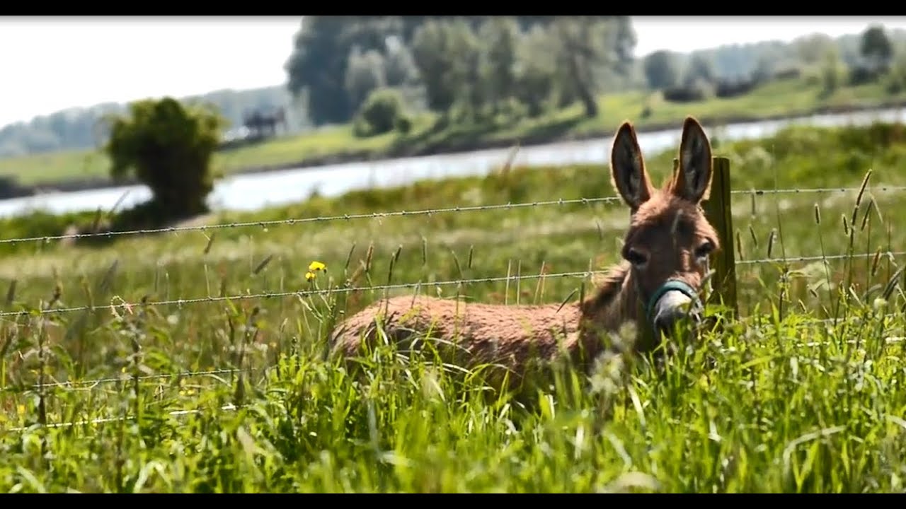 Imagefilm der Stadt Wesel