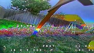 pNut laps | DJI fpv Analog DVR