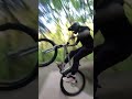 New DIRT JUMPS all Built by 1 Guy  ! #mtb #bmx