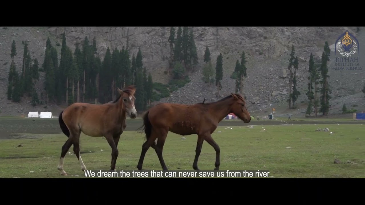 a trip of swat namra batool sap 5525 mateen farooqi spring 22 final year project