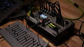 Electro-Smith Daisy-Patch + Monome Teletype (TRS MIDI & I2C from 16n)