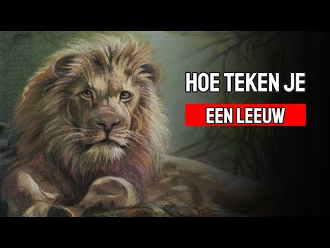 Video: Hoe Teken Je Een Leeuw Met Een Potlood?