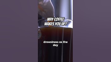 Why Coffee Wakes You Up? : What is Caffeine