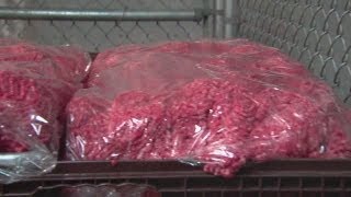 Put to the test: Ground meat labels Information