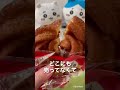 【ぼっちグルメ】若い頃食べてたローズネットクッキーをやっと見つけた!思い出の味がする(*^^*)