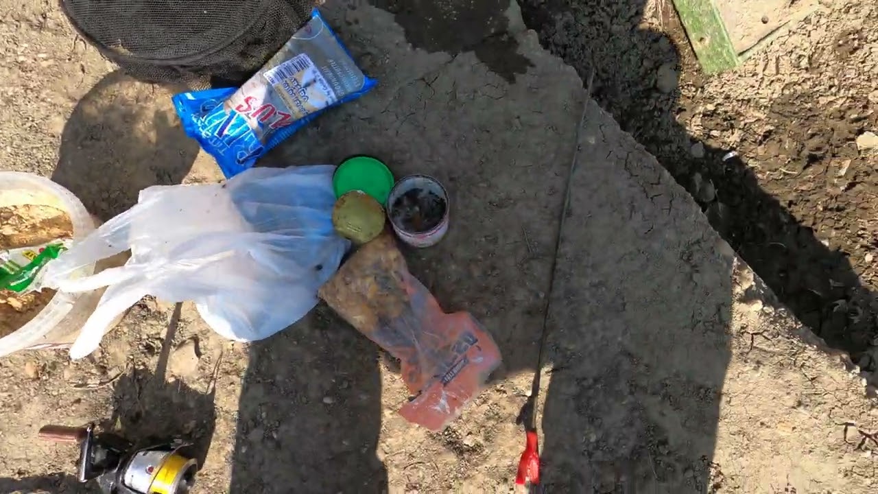 TÉLI PECA. FEBRUÁRI PONTY ÉS MÁRNA HORGÁSZAT A TISZÁN. IDEI ELSŐ HORGÁSZAT