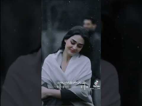 حلات واتس انستا تيكتوك كل يوم سهران اليل عمال افكر فيك ياجميل