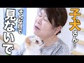 【爆笑】子犬のシナモンと一緒にお盆に帰省したらオカンが壊れたw w w【お盆休み】