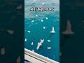 দোয়া কবুলের সতর্ক #shots #youtube #motivation #highlights #qatarcity #viral #love #viralchallenge