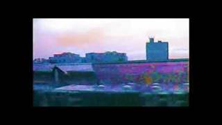 SY-FI Delica.wmv