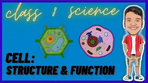 Cell Structure and Function - Part 2 | NCERT class 8 Science Chapter 8 | Brain Buzz | Joel