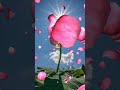 3029 islami naat y Allah #abdul #islamic #shortvideo
