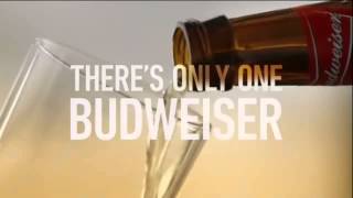 Super Bowl XLIX - Budweiser: Brewed The Hard Way (2015)