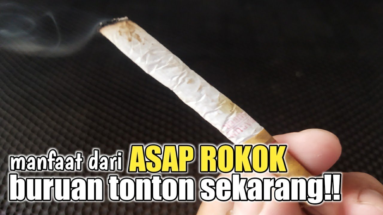 Tutorial Menghisap Rokok manfaat dari ASAP ROKOK!! buruan tonton sekarang#diy#tutorial # ...