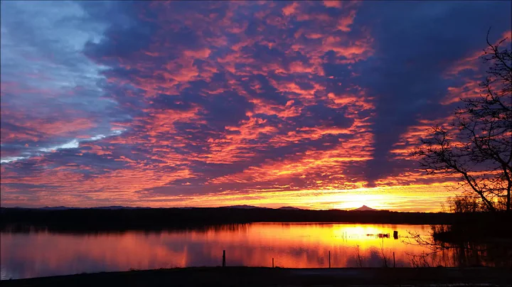 Good Morning Cover Tunes sung by Roy McCullough