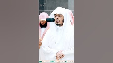 مقتطف من تلاوة فضيلة الشيخ أ.د. : #ياسر_الدوسري | ليلة 20 #رمضان 1445هـ.