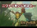 【ゼルダの伝説 BOW】ニワトリをいじめると…