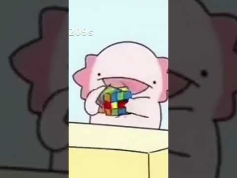 FURI FURI