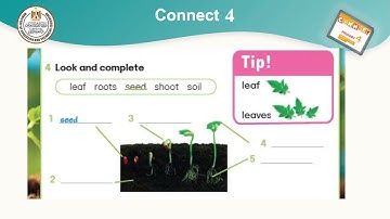 ✅Connect 4 .Term 1.Unit 3 lesson 1 and 2