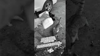 Şükür Sebebim Oğlum Şfet