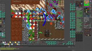 Tibia War - Thais Fight