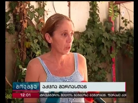 თბილისის მერიასთან \"პარტიზანი მებაღეები\" დღეს აქციას განაახლებენ