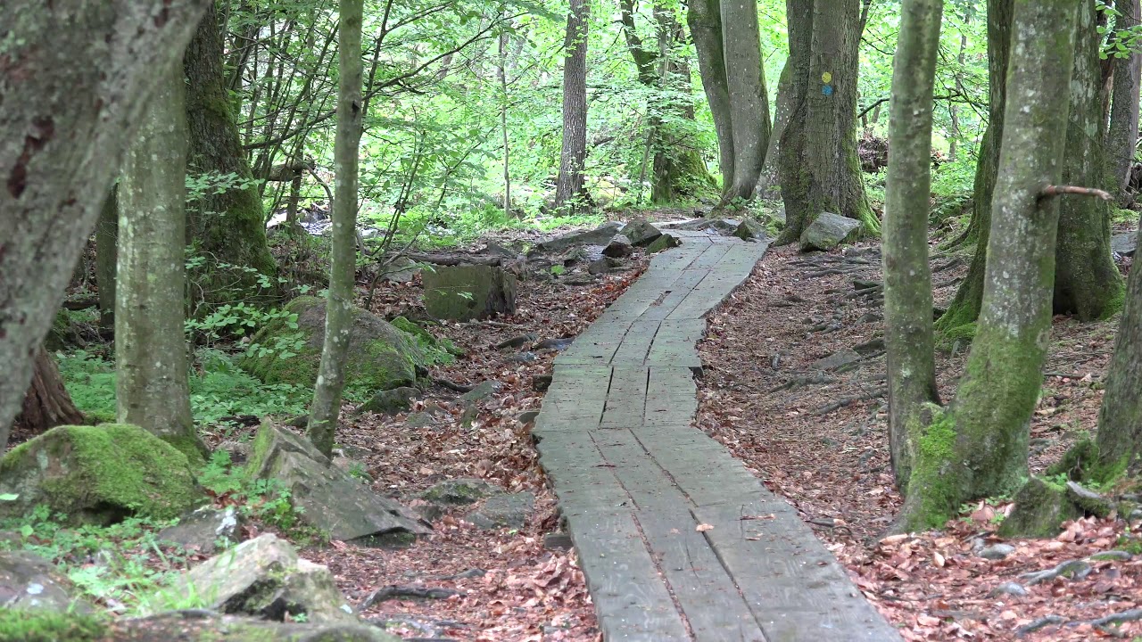 Söderåsens nationalpark   Skäralid 27 maj 2019