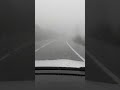 #sis #fog #foggy #mist #misty #rain #yağmur #kar #snow #snowfall #winter #kış #cold #storm #cloudy
